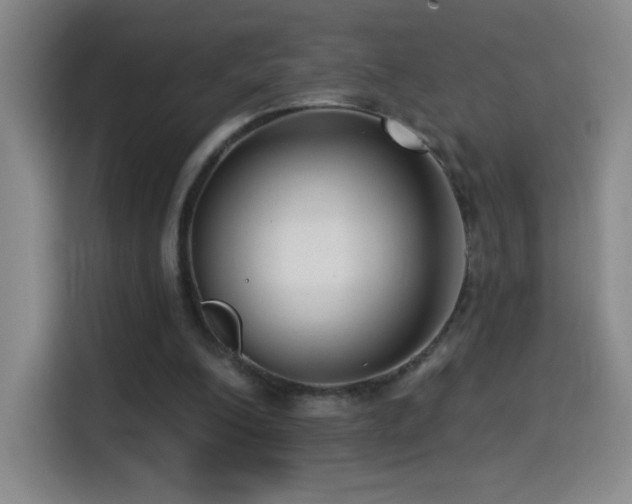 X0000114440200200910161402