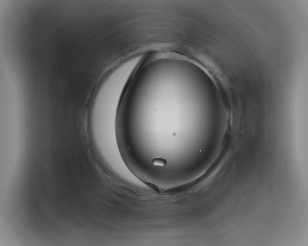 X0000114440201200910161402