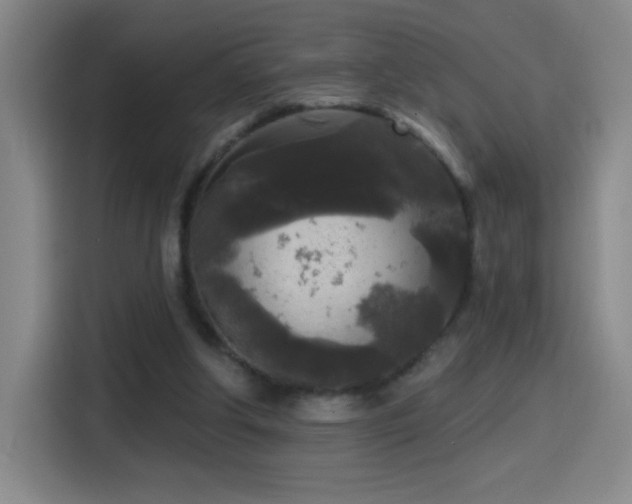 X0000114440202200910161402
