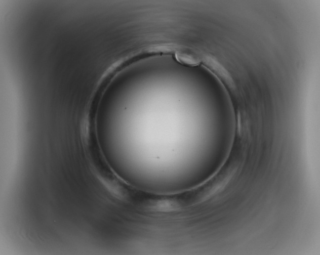 X0000114440204200910161402