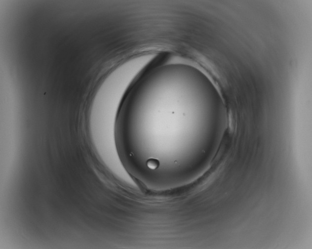 X0000114440205200910161402