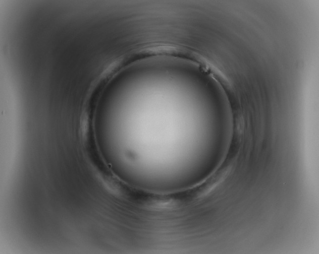 X0000114440206200910161402