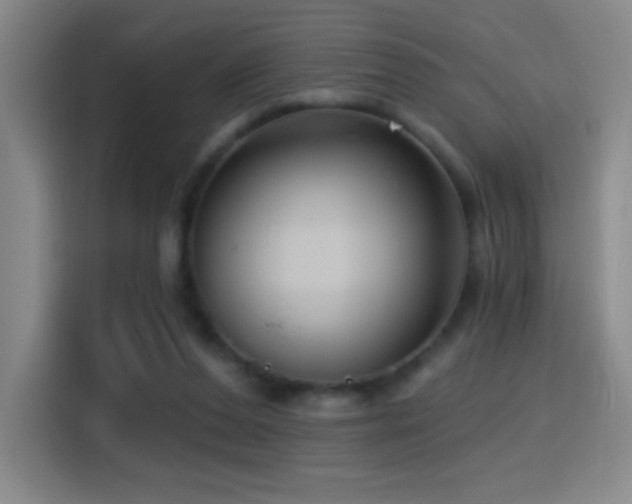 X0000114440208200910161402