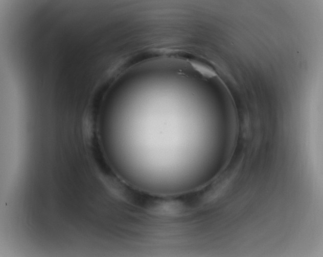 X0000114440210200910161402