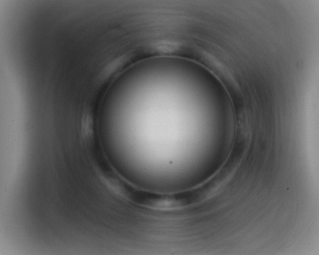 X0000114440212200910161402