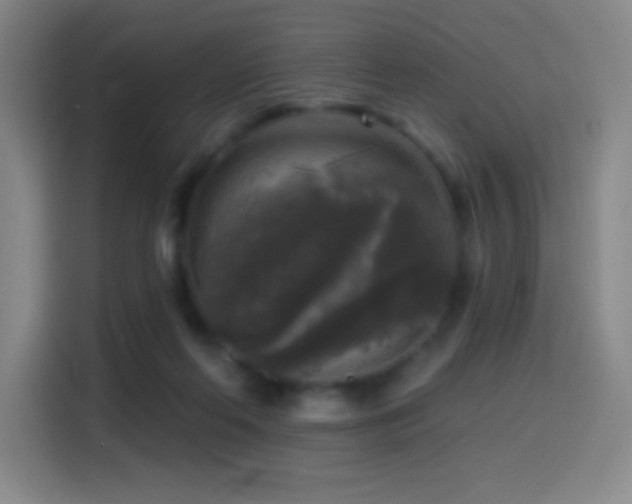 X0000114440214200910161402