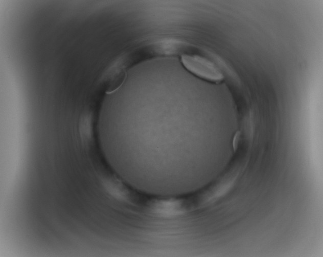 X0000114440217200910161402