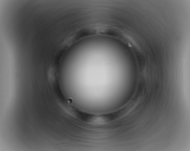 X0000114440218200910161402