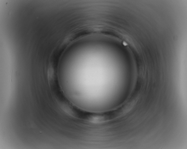X0000114440220200910161402