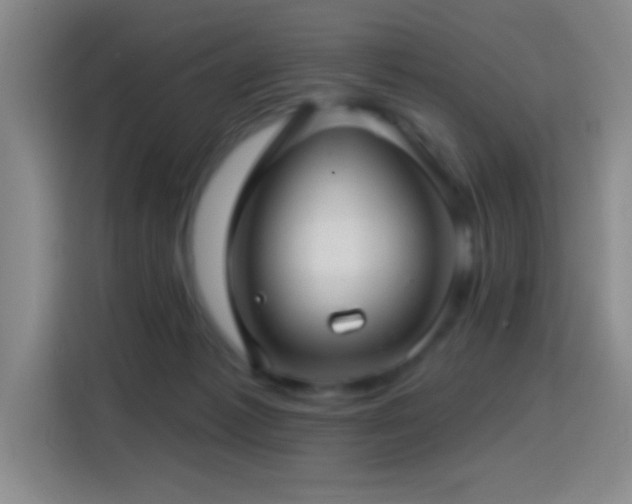 X0000114440221200910161402
