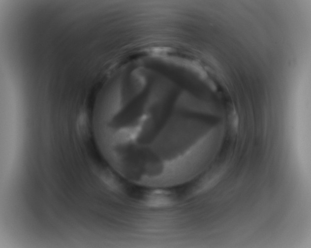 X0000114440222200910161402