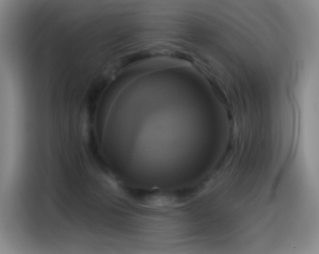 X0000114440223200910161402