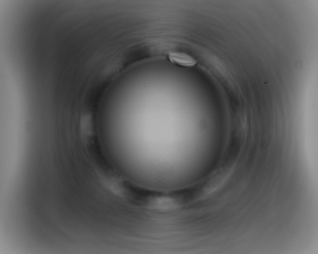 X0000114440224200910161402