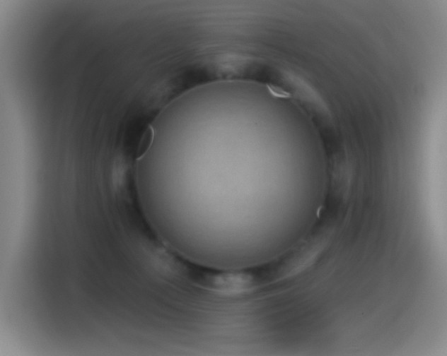 X0000114440225200910161402
