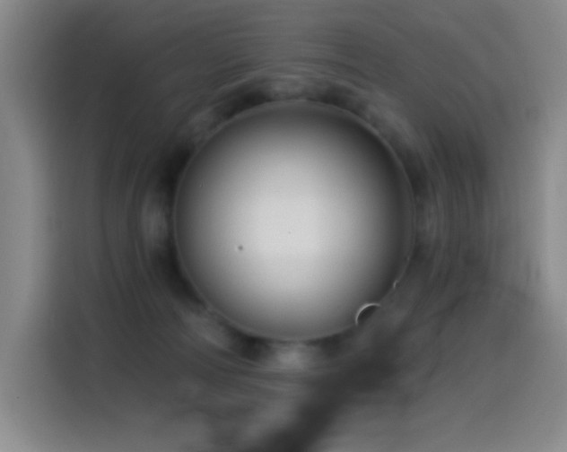 X0000114440226200910161402