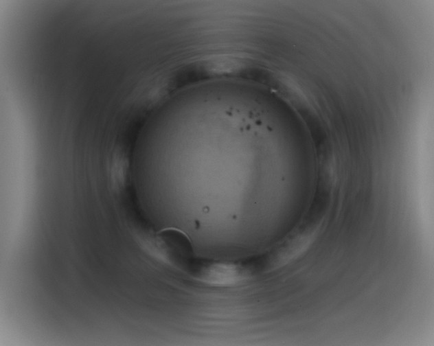 X0000114440227200910161402