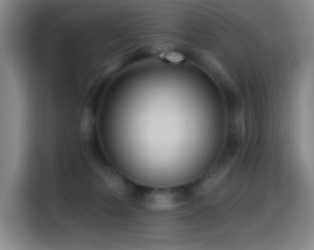 X0000114440228200910161402