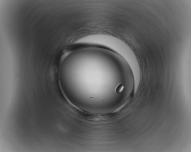 X0000114440229200910161402