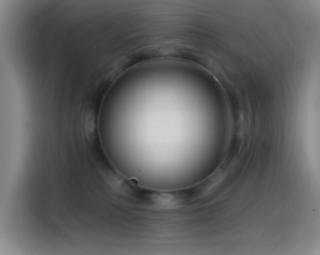 X0000114440230200910161402