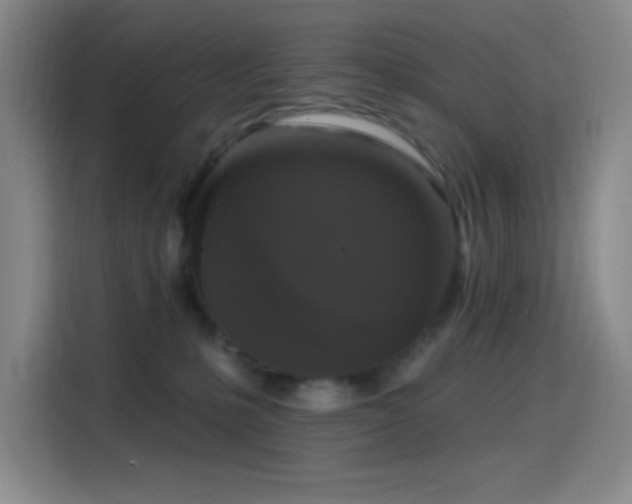 X0000114440231200910161402