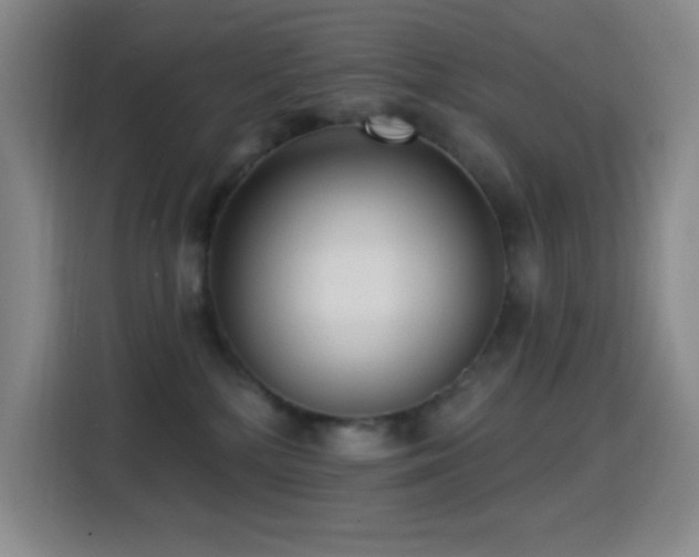 X0000114440232200910161402