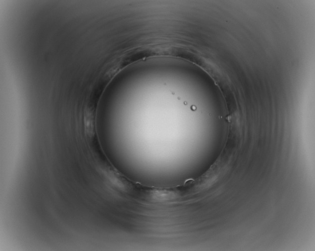 X0000114440234200910161402