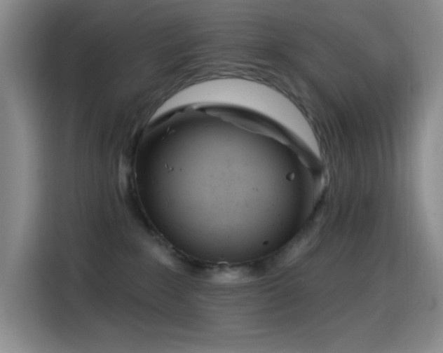 X0000114440235200910161402