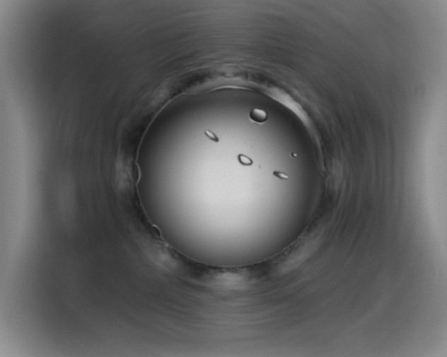 X0000114440236200910161402