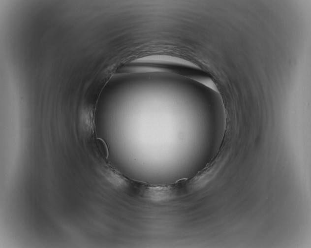 X0000114440240200910161401