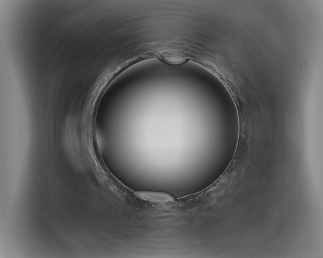 X0000114440241200910161401