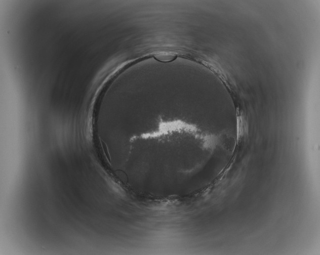 X0000114440243200910161401