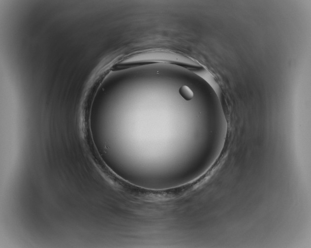X0000114440245200910161401
