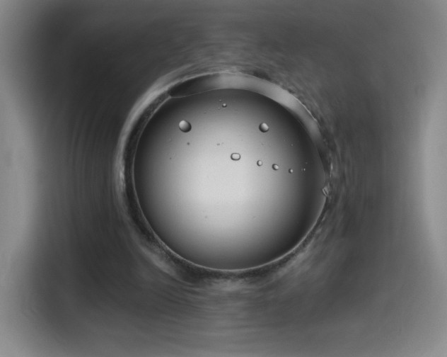 X0000114440246200910161401