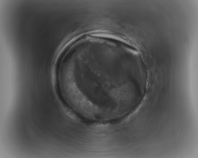 X0000114440247200910161401