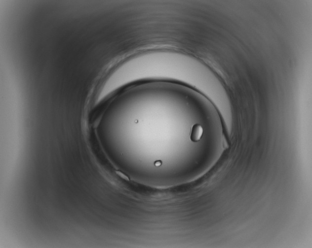 X0000114440252200910161401