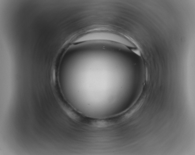 X0000114440253200910161401