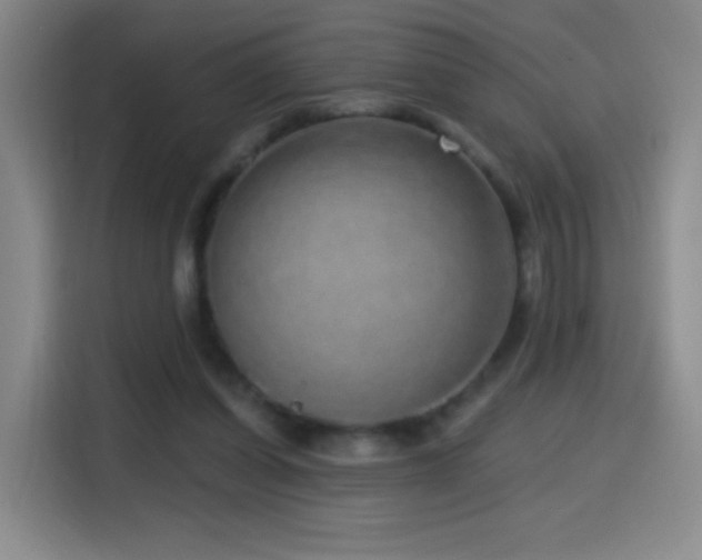 X0000114440254200910161401