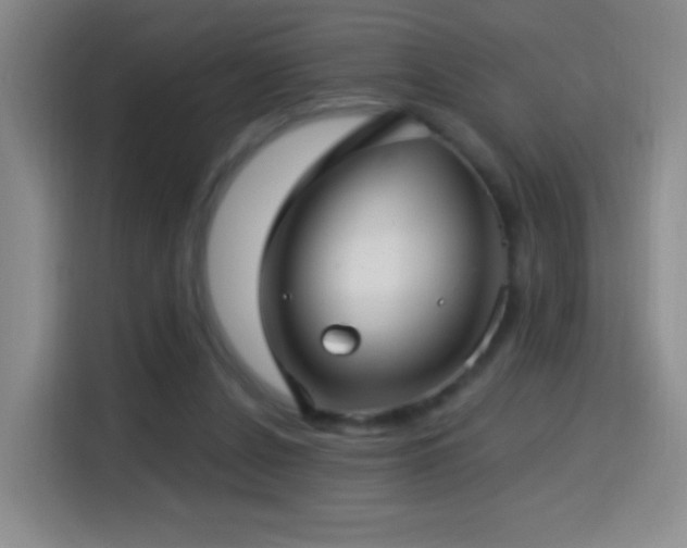 X0000114440256200910161401