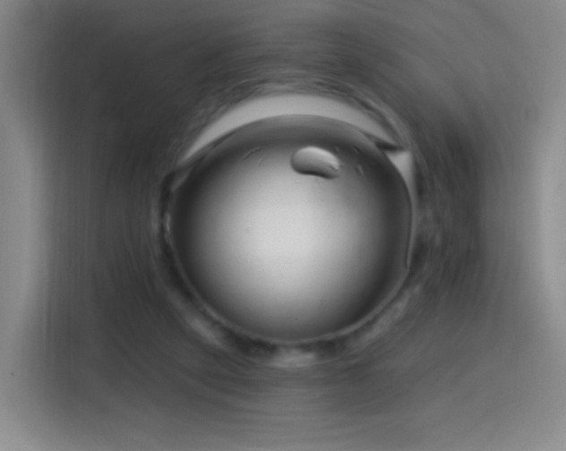 X0000114440257200910161401