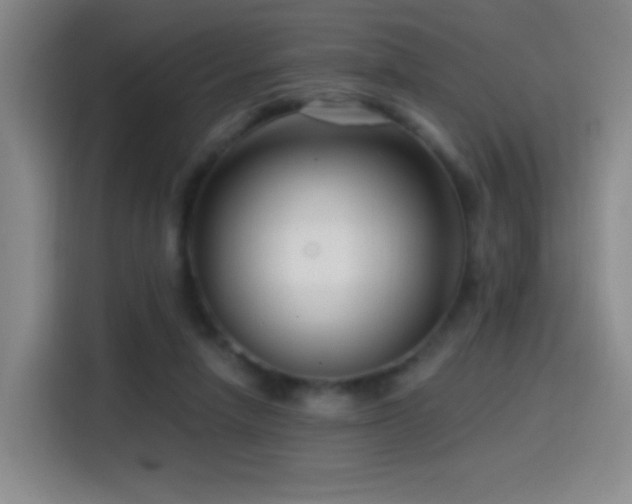 X0000114440258200910161401
