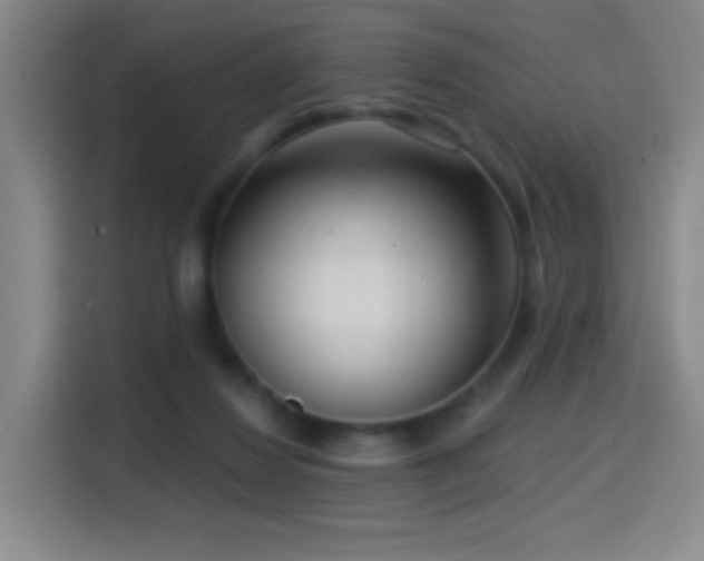 X0000114440260200910161401