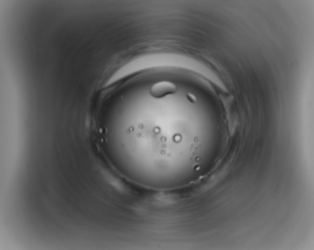 X0000114440261200910161401