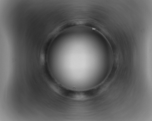 X0000114440262200910161401