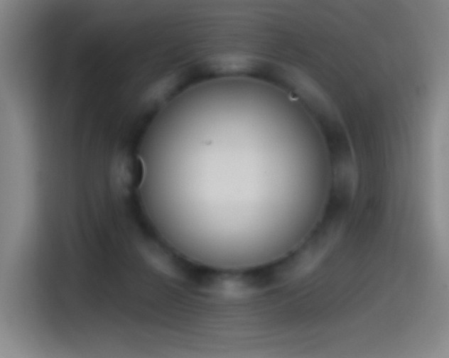 X0000114440264200910161401