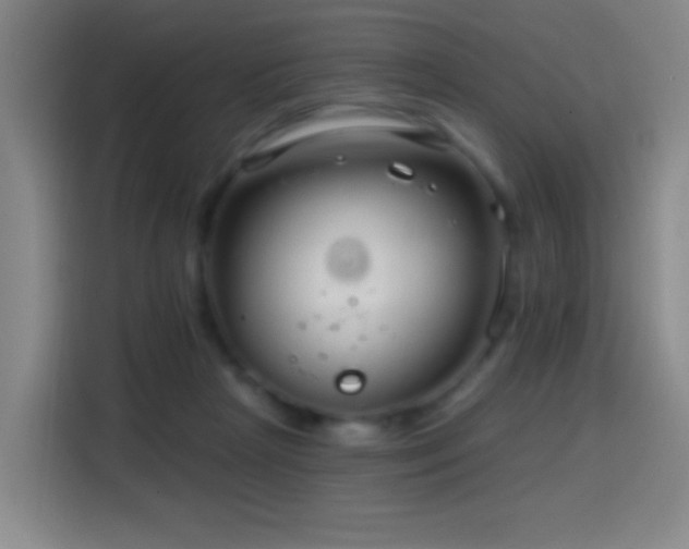 X0000114440265200910161401
