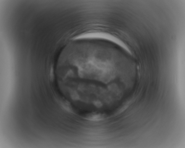 X0000114440267200910161401