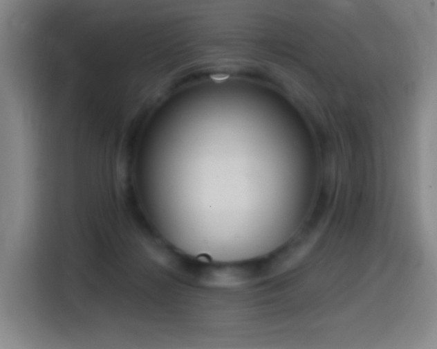 X0000114440268200910161401