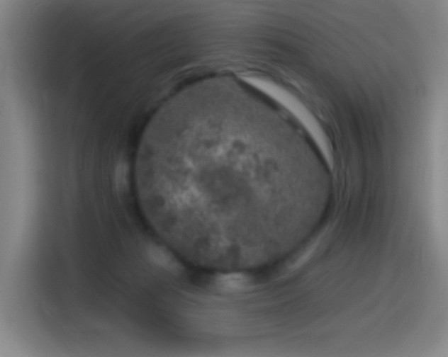 X0000114440269200910161401