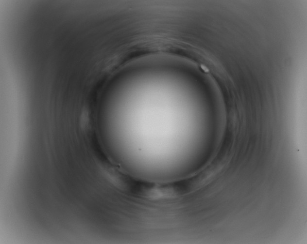 X0000114440270200910161401
