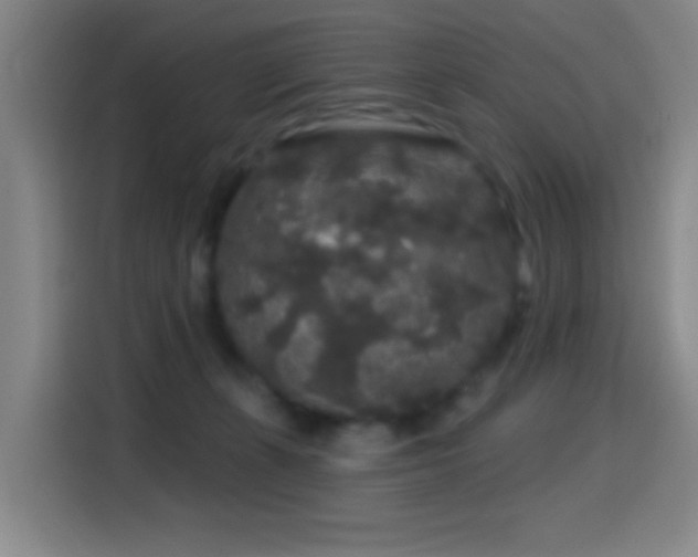 X0000114440271200910161401